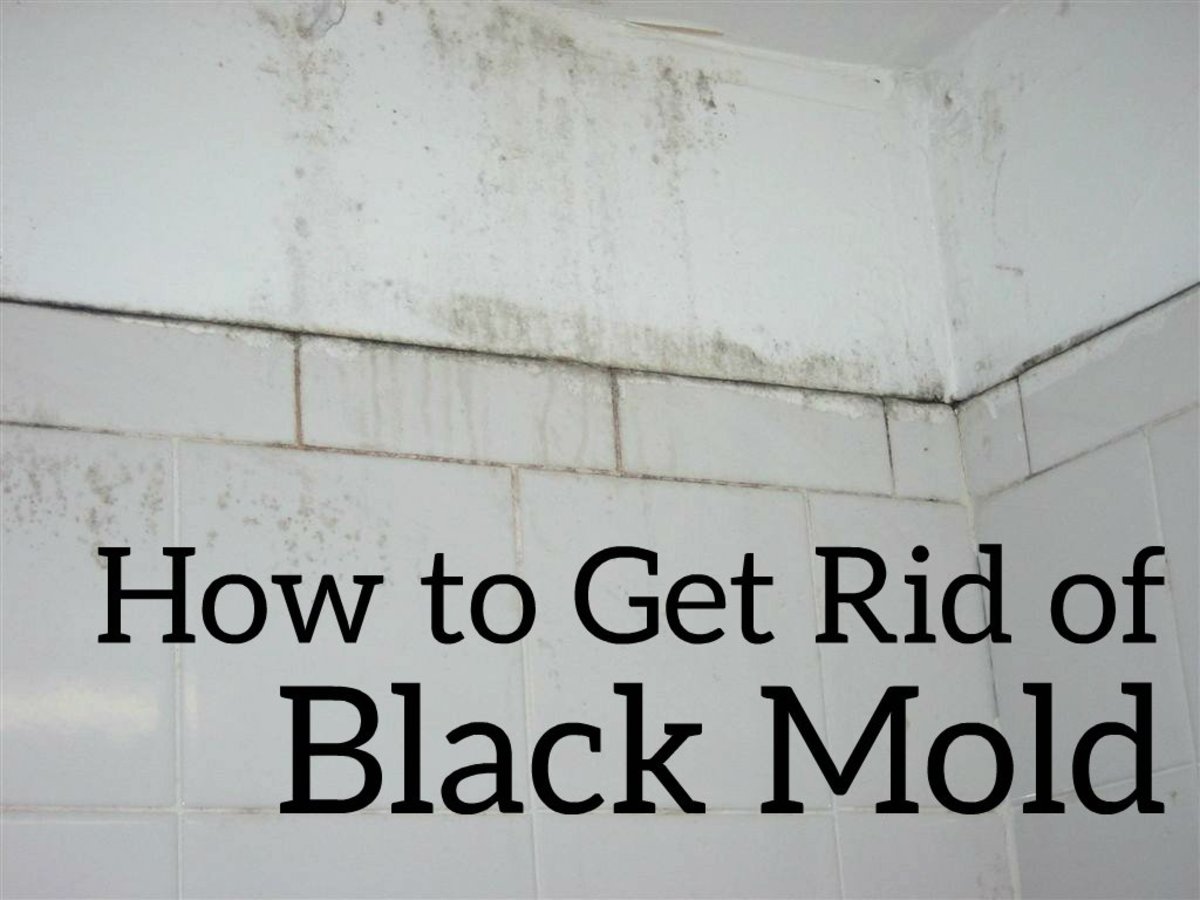 How To Get Rid Of Black Mold The Easy, What Does Black Mold Look Like On Bathroom Walls