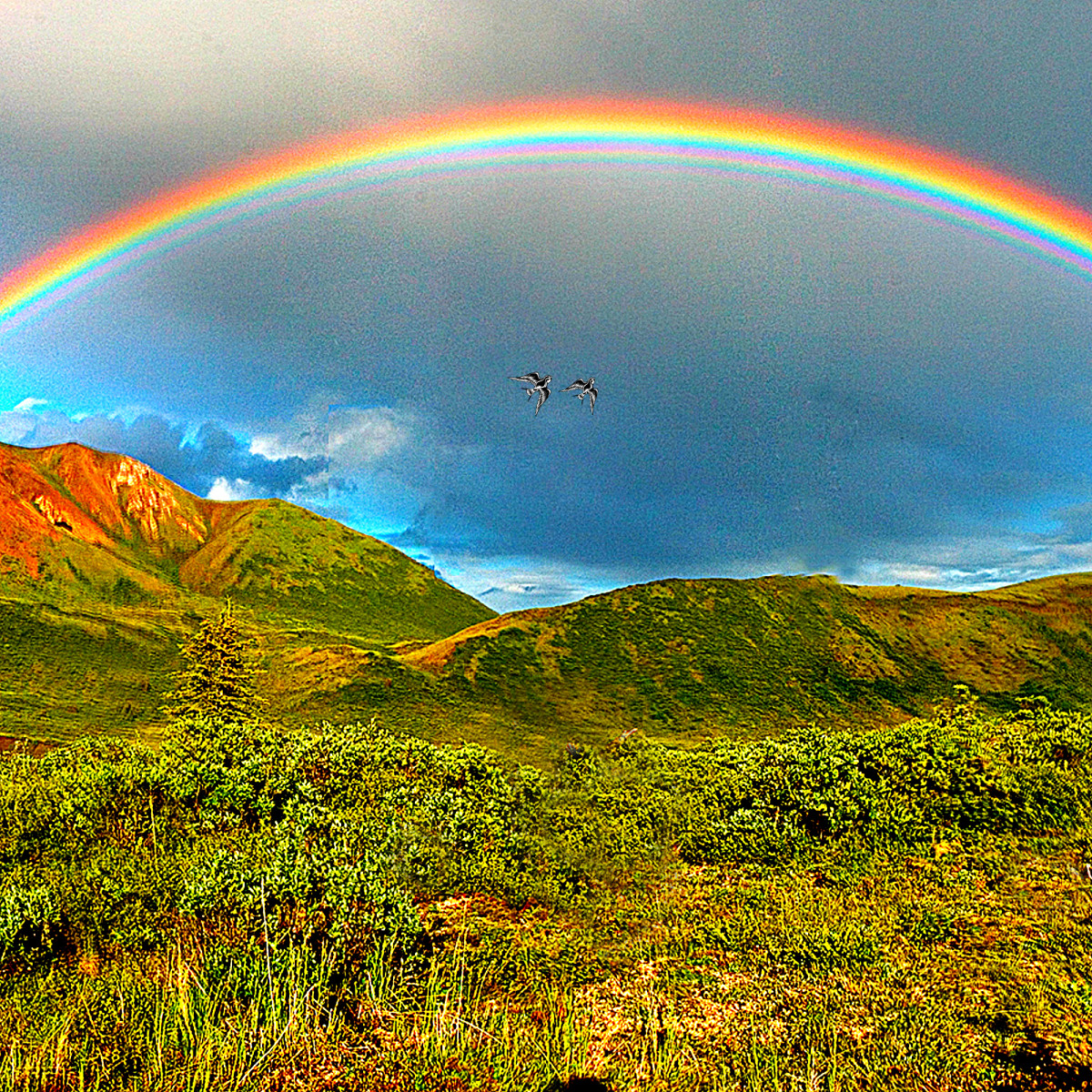 love-like-a-rainbow