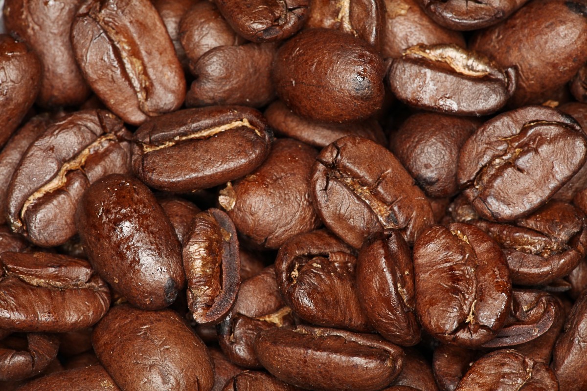 Antibacterial Activity of Roasted Coffee Beans and Caffeine