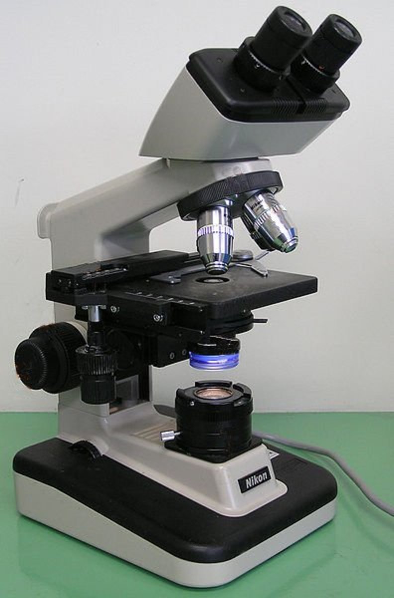 The quintessential piece of biology equipment - the microscope. But biology is much wider than merely the study of small things.