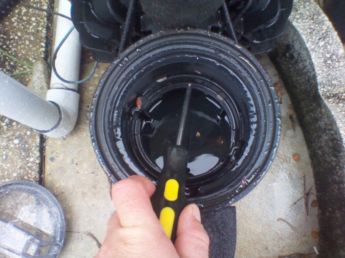 how-to-unclog-a-pool-pump-impeller