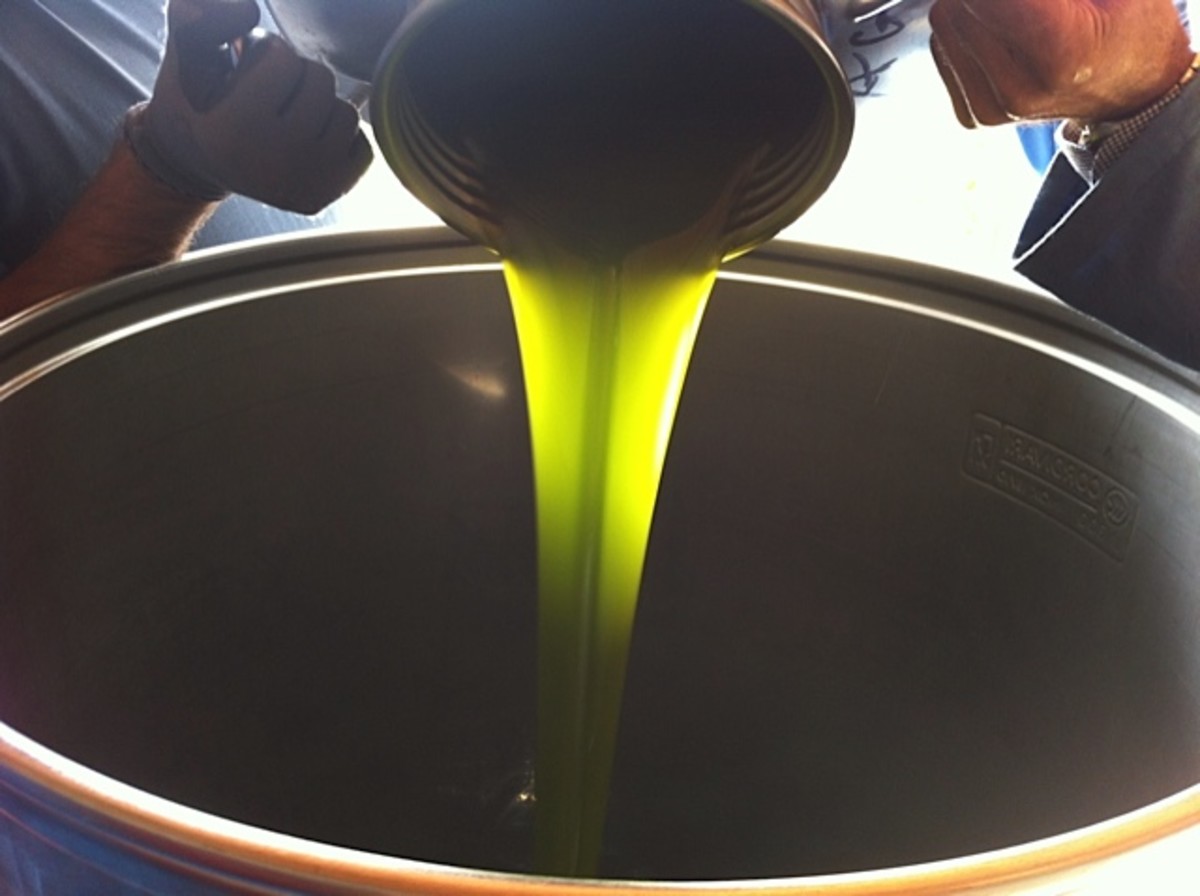 Pouring extra virgin olive oil from cold-pressing in Italy