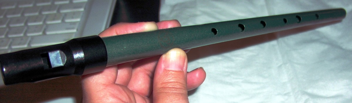 how-to-play-the-tin-whistle