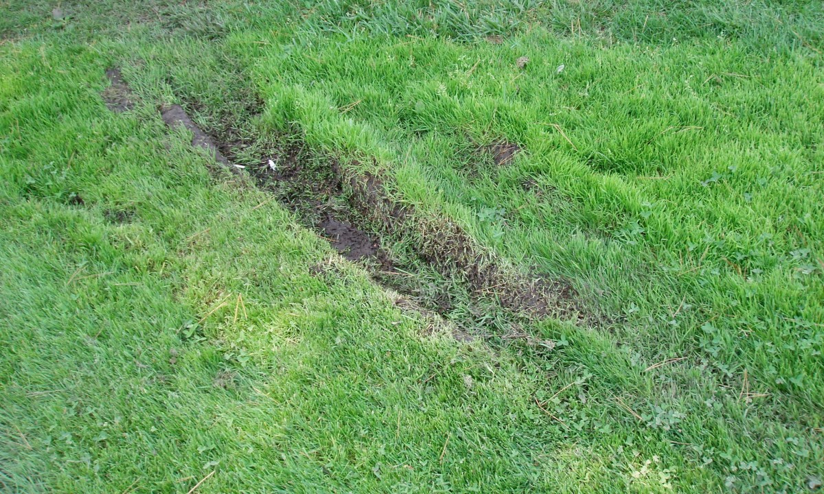 This ground is too soft. The lawnmower should not have been able to make that deep a furrow in this spot. There is probably an underground leak here.