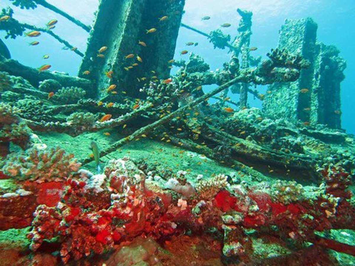 Почему красное море называется красным. KAUST Red Sea. Красное море почему так называется Почемучка.