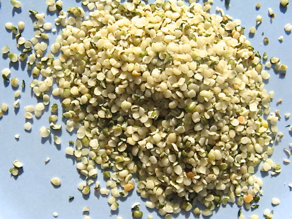 Shelled hemp seeds are a nutritious food.