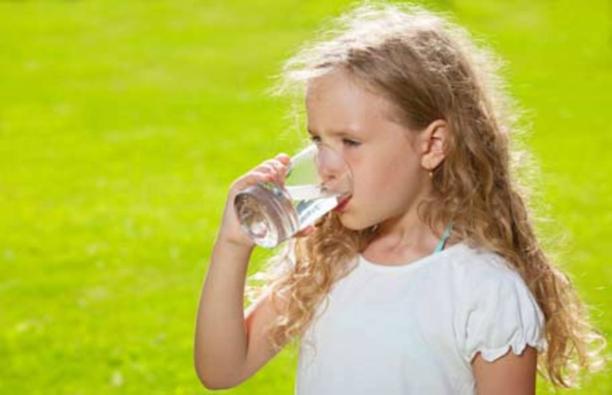 Healthy Kidneys and the Role of Water