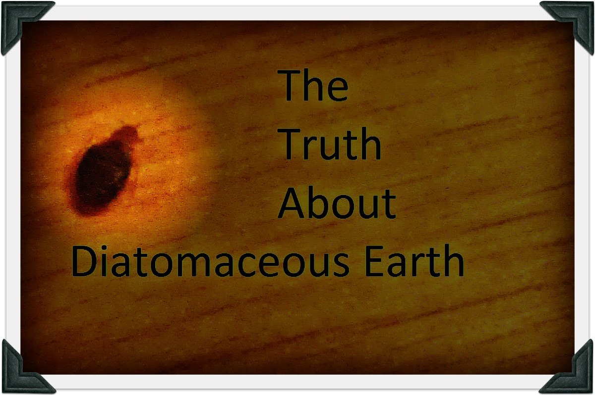 How Diatomaceous Earth Kills Bed Bugs