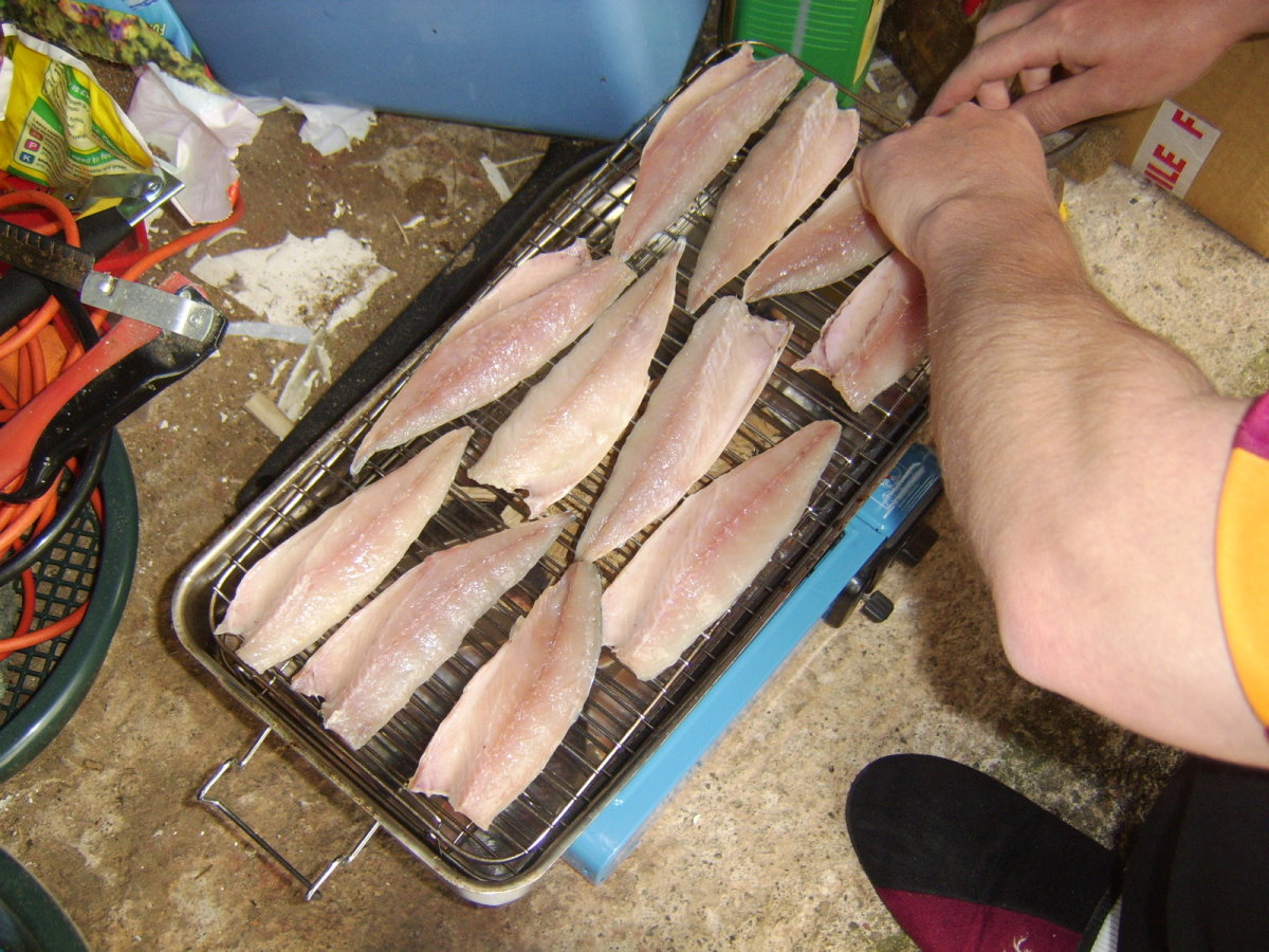 Prepared and brined mackerel fillets being added to the hot smoker