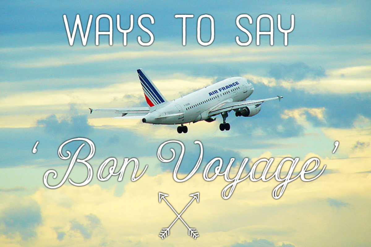 have a bon voyage meaning