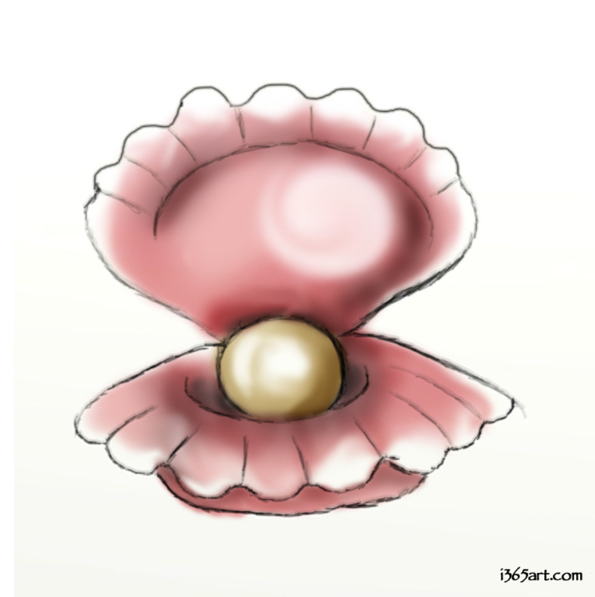 Learn how to draw this clam!