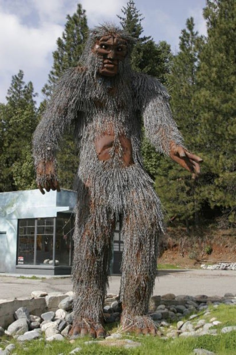 Bigfoot Facts and Theories for Skeptics