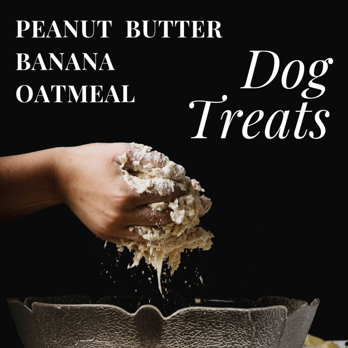 Oatmeal banana dog outlet treats