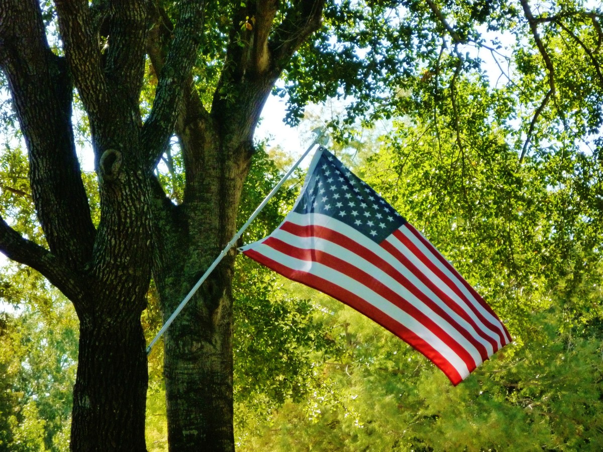 How To Celebrate July 4th United States Independence Day Holidappy