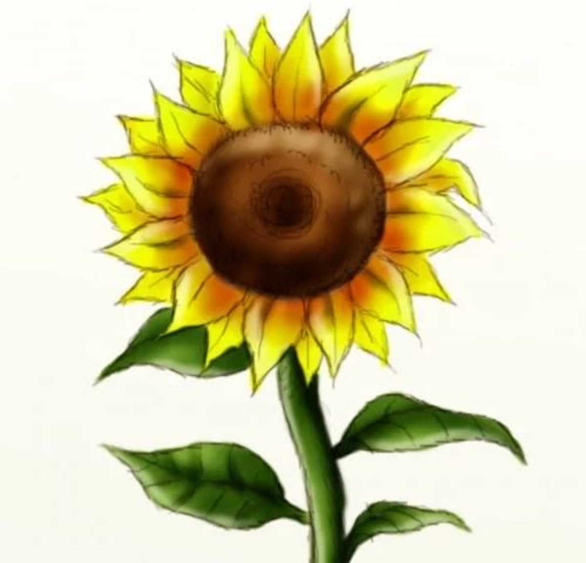 How to Draw a Sunflower (in 10 Easy Steps)