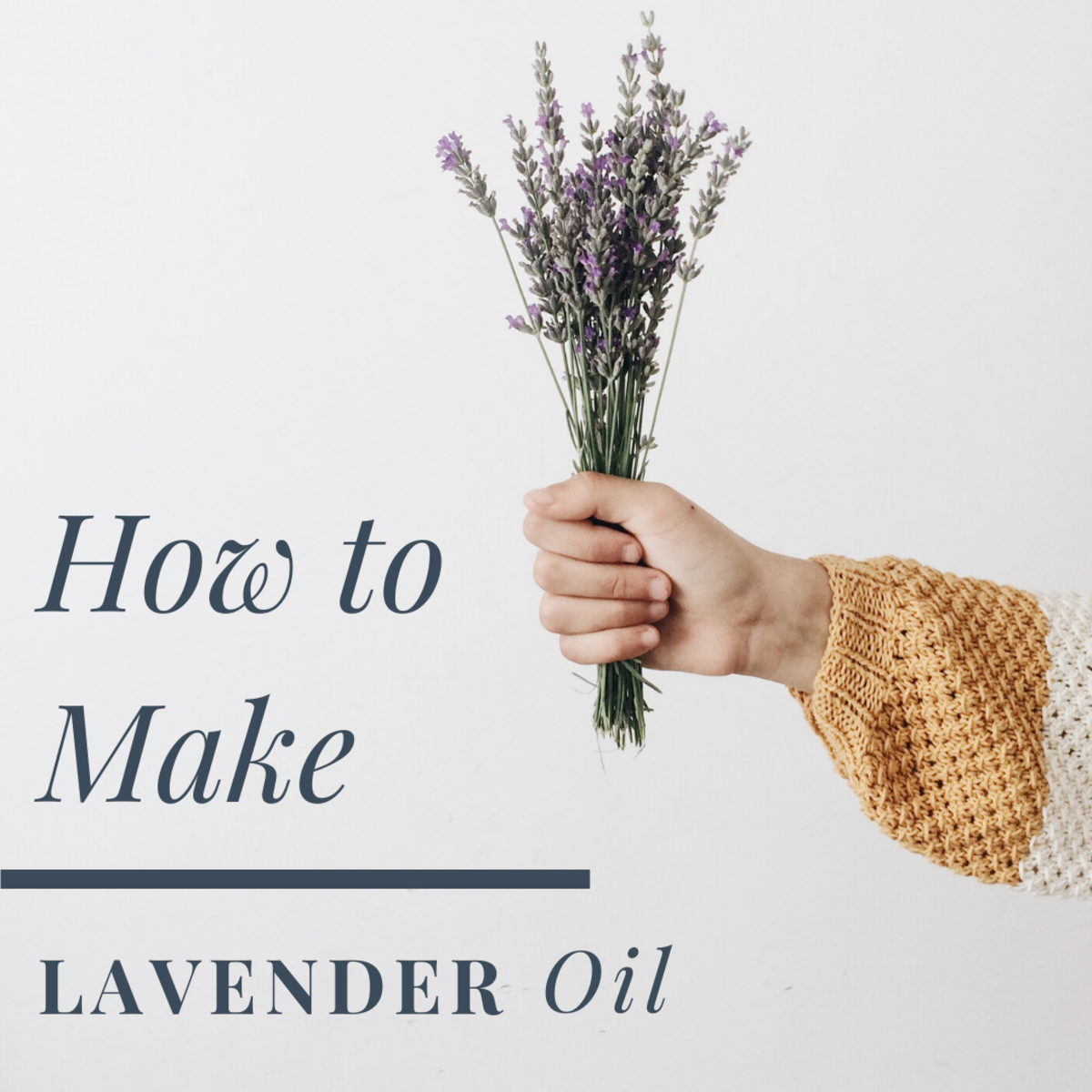 How to Make Lavender Oil at Home