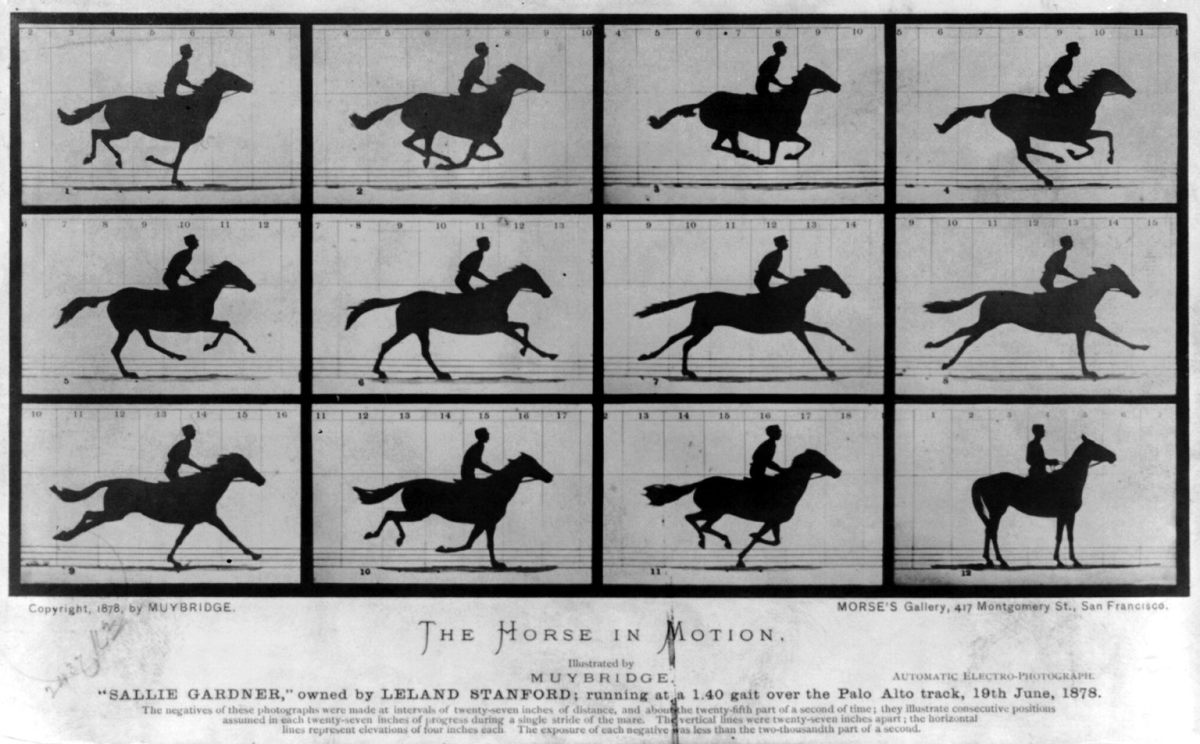 Horse galloping: This image breaks down a single gallop stride.