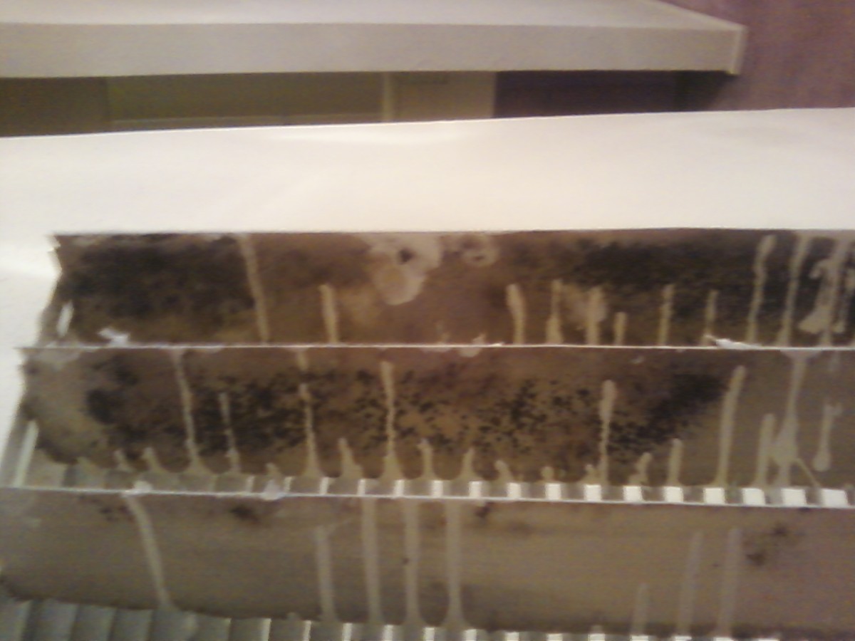 Mold discovered inside one of the vent covers in my home.