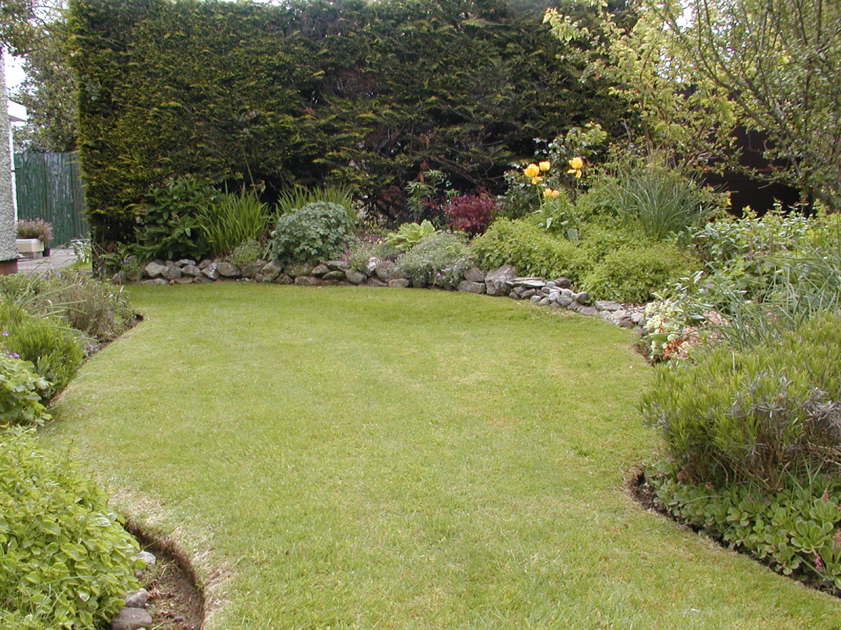 A lawn edged with a trimmer