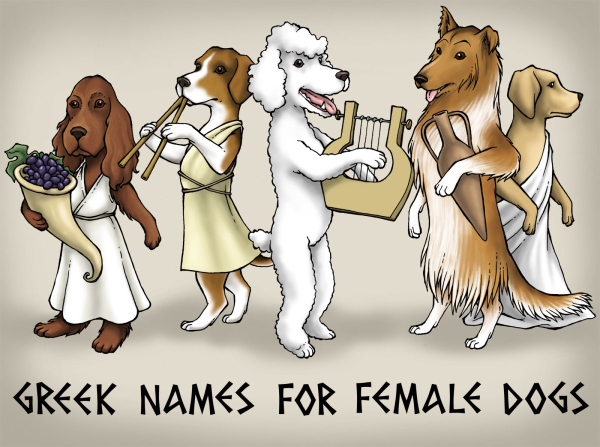 Greek Goddess Names for Female Dogs