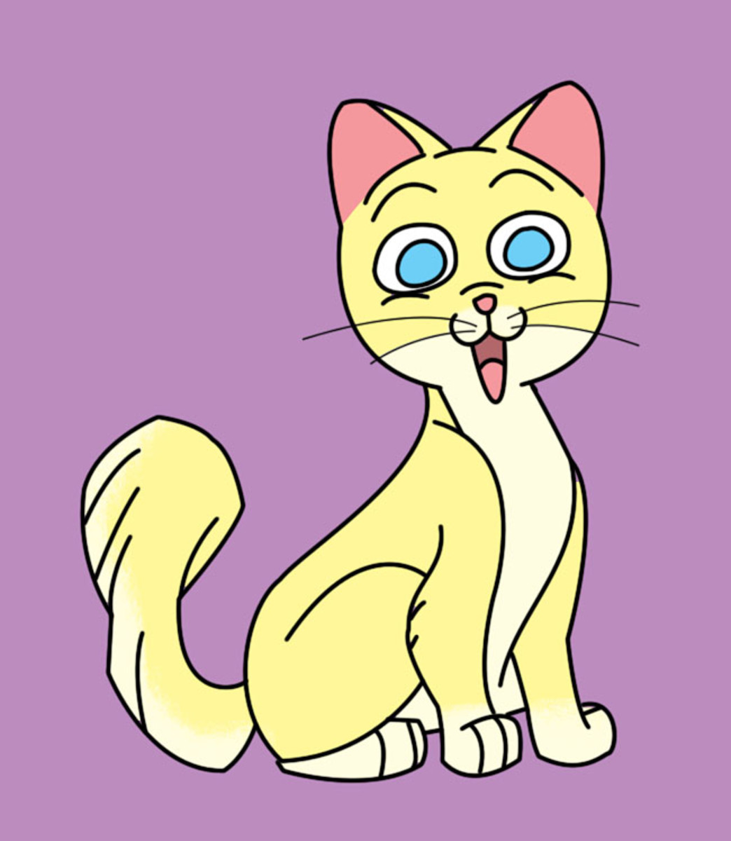 Drawing a Cartoon Cat - FeltMagnet