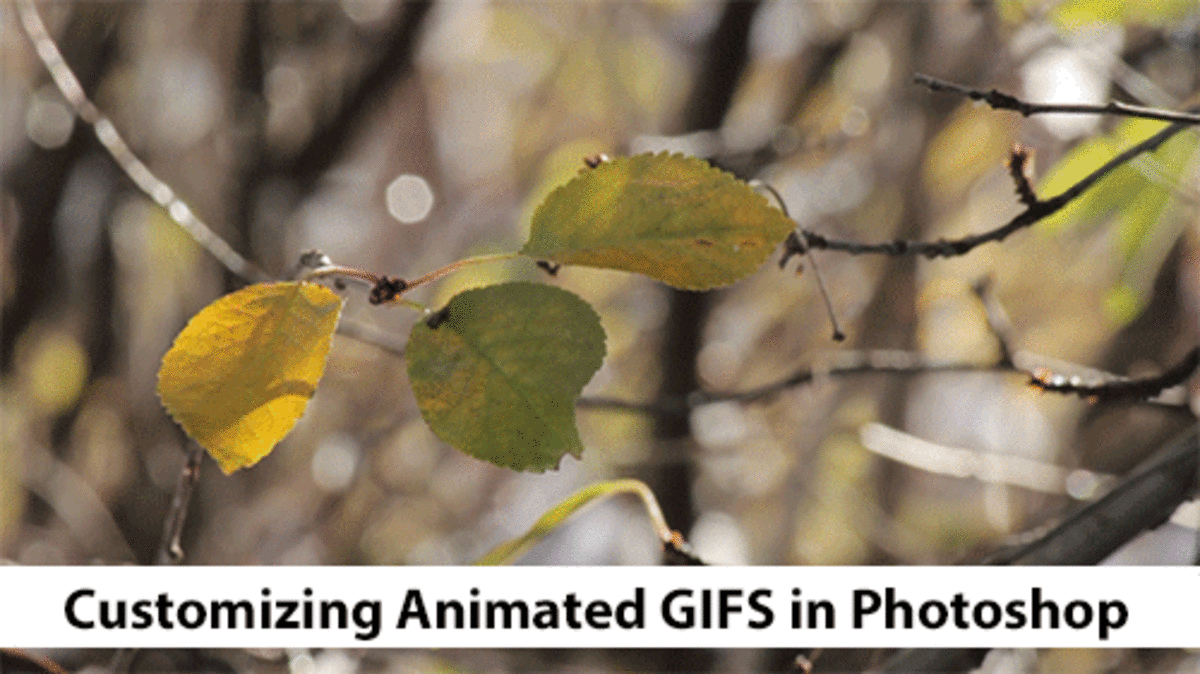 How to Edit GIFs in Photoshop