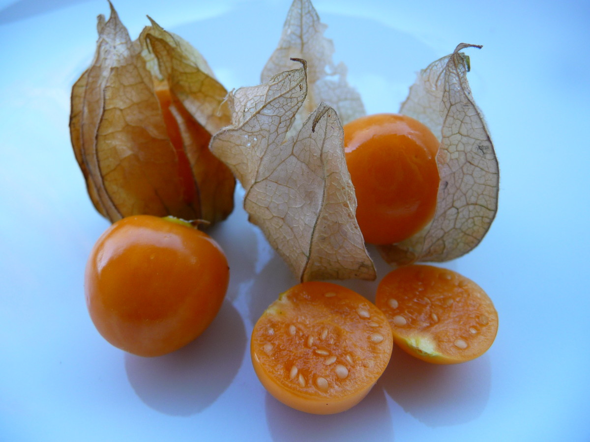 The Nutritional and Health Benefits of Rasbhari, Cape Gooseberries, or