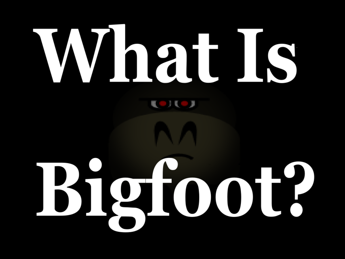 Top 5 Bigfoot Theories: What Is Bigfoot Really?