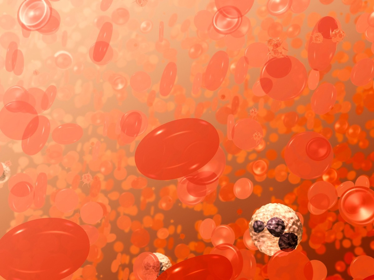 The concave disks are red blood cells. The white objects represent a type of white blood cell. The spiky items are activated platelets. Platelets are activated when we're wounded.