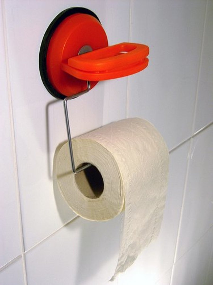 Top 10 Interesting and Fun Facts About Toilet Paper