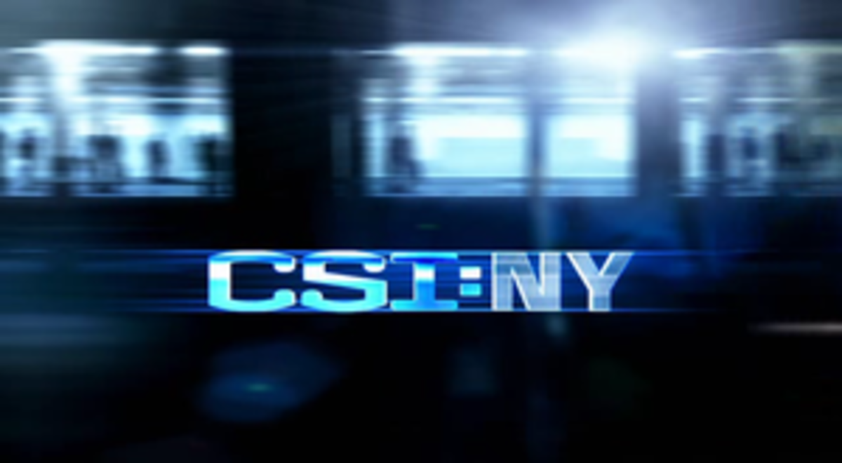 The 30 Best CSI NY Episodes Ever ReelRundown