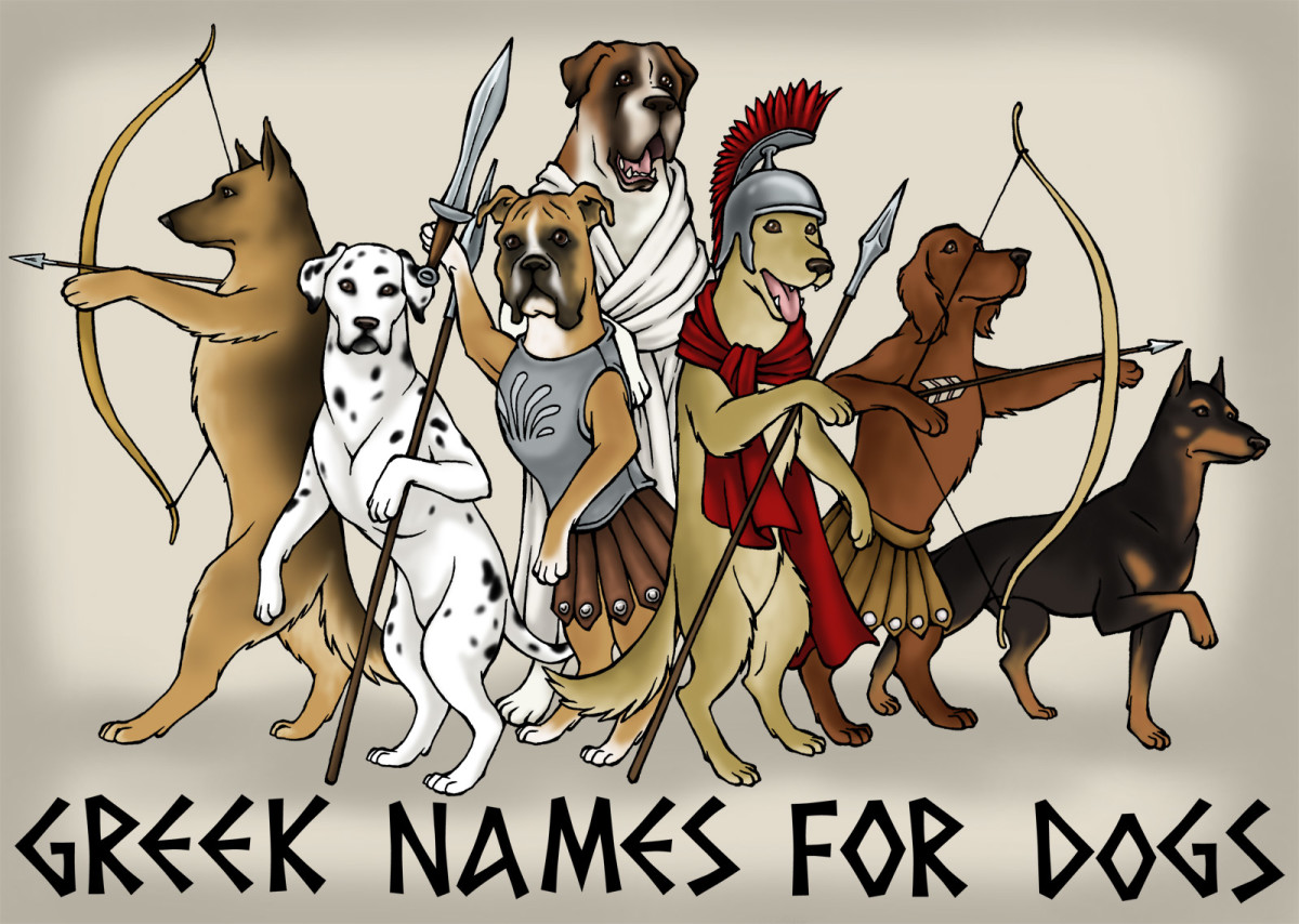 Greek names for male dogs