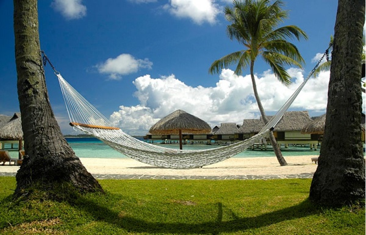 Lazying on a Hammock in Polynesia 