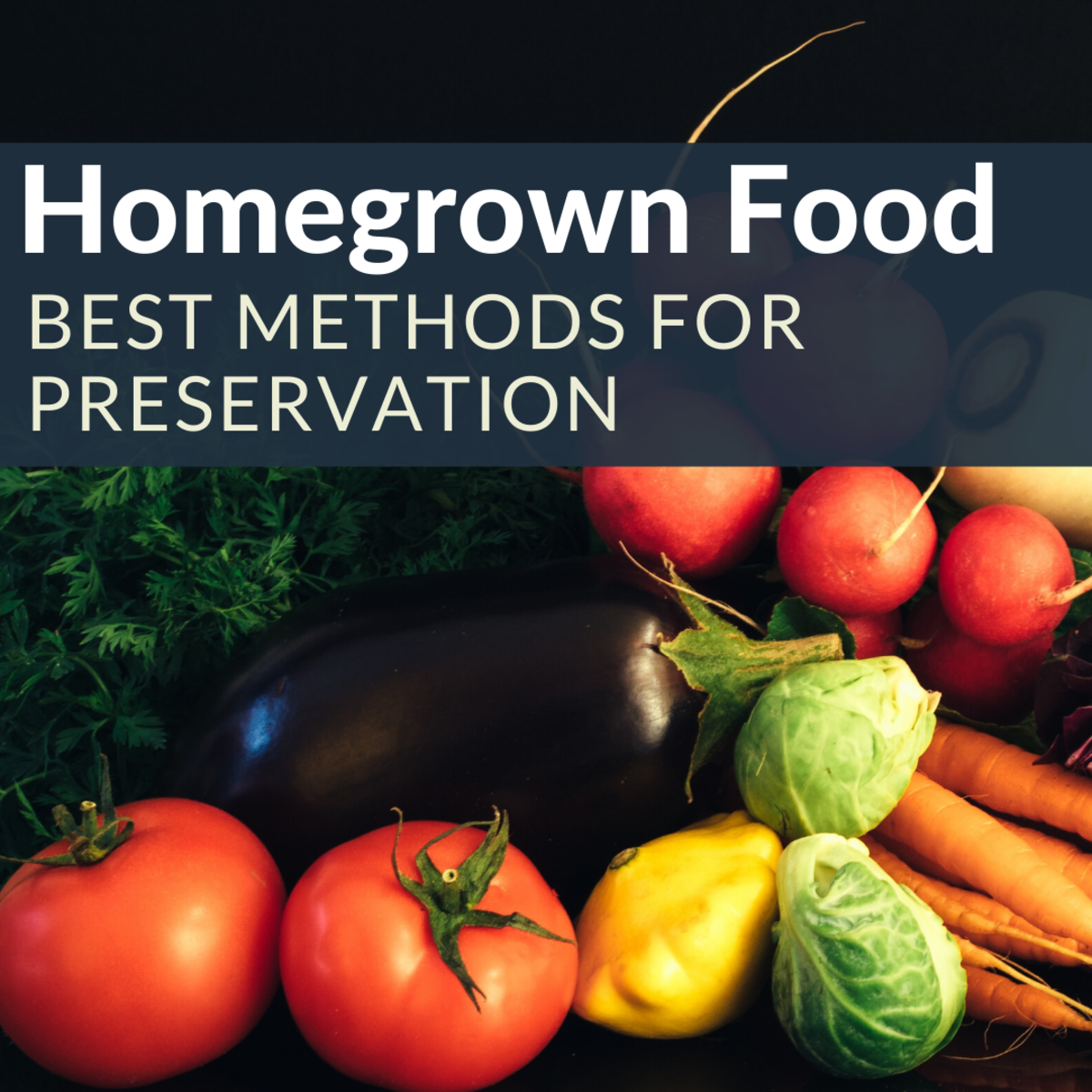 Let's explore the most common food preservation methods!