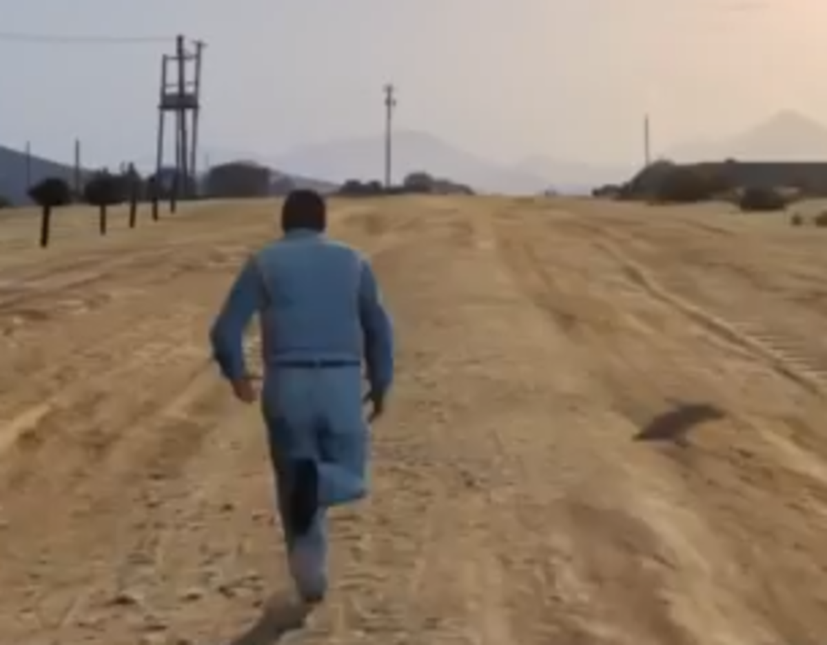 Grand Theft Auto V Walkthrough: Skills
