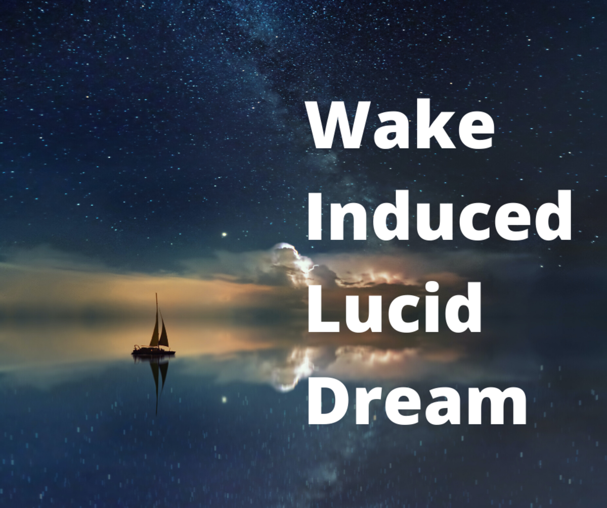 Wild Dream Meaning 