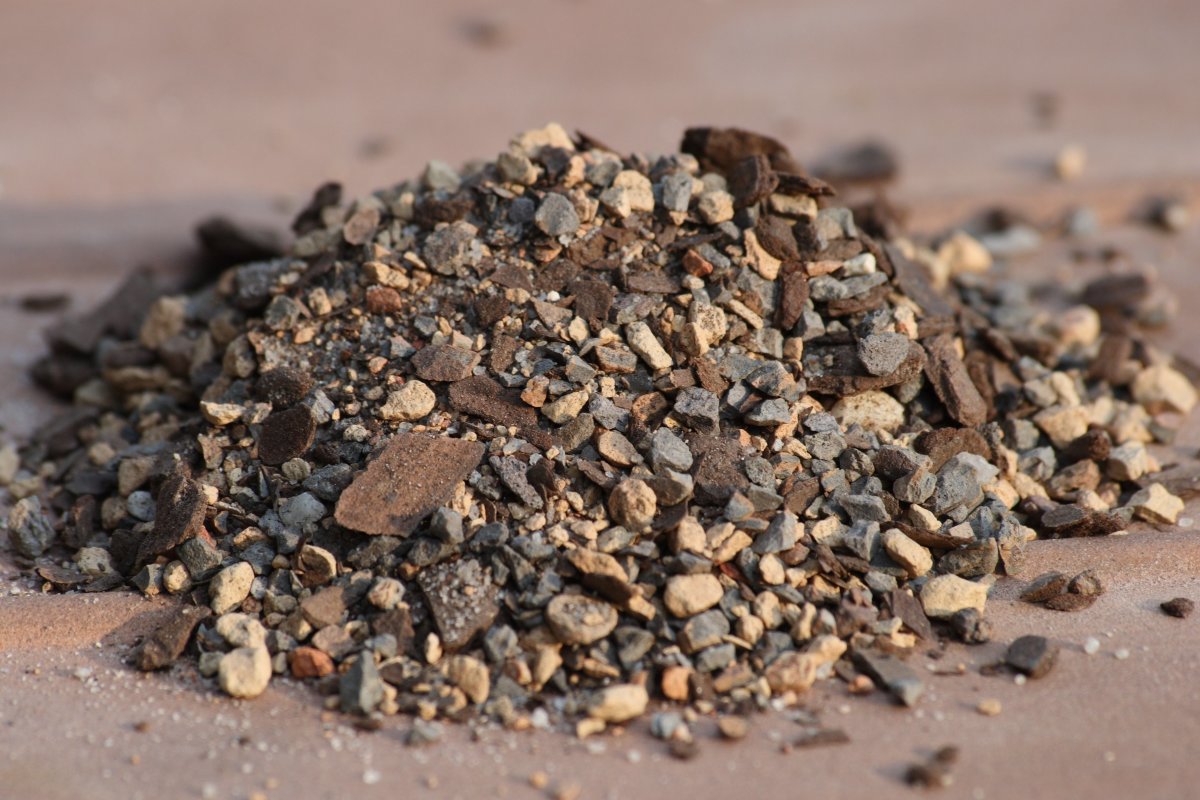 Bonsai soil comprised of various gritty materials.