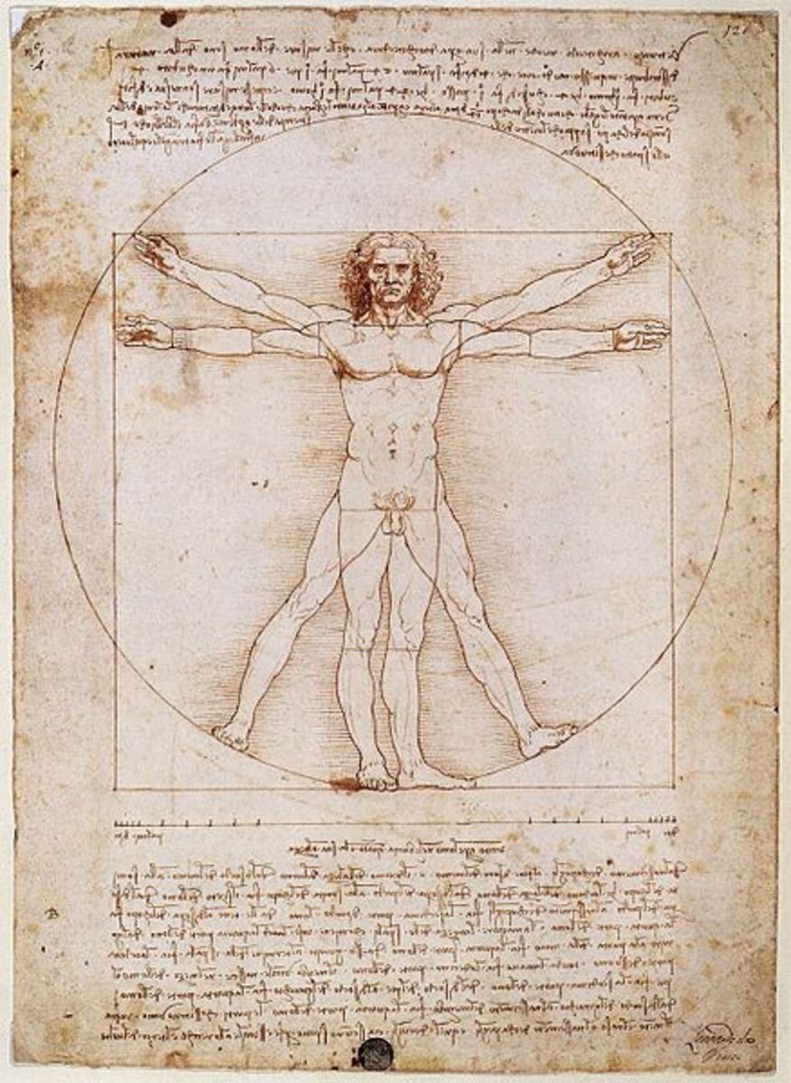 Leonardo Da Vinci's "Vitruvian Man" Explained Owlcation
