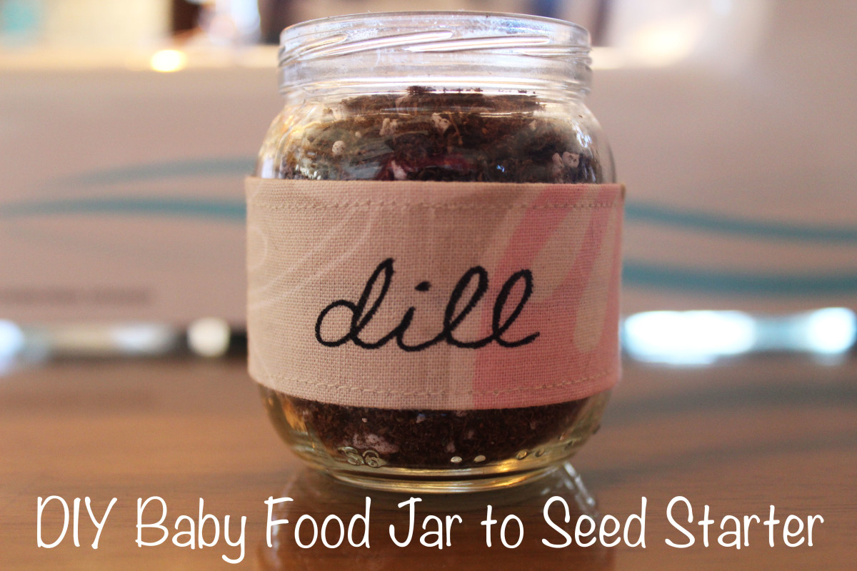 DIY Project: How to Turn a Baby Food Jar Into a Seed Starter