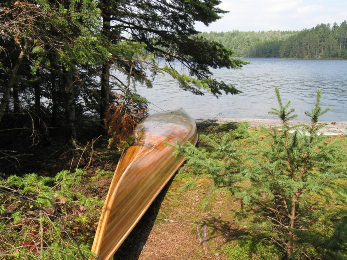 Building a Cedar Strip Kayak: The Details: Lofting the Plans