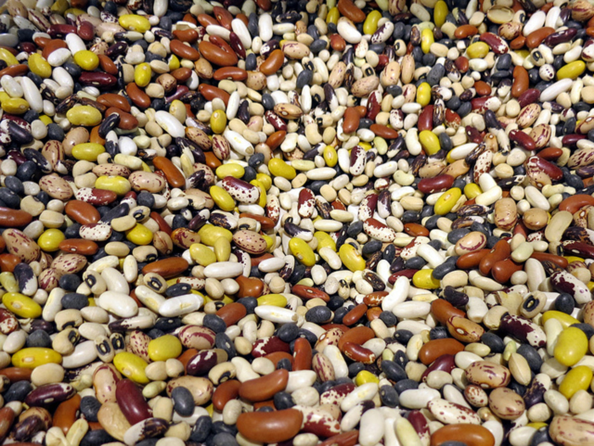 Dried beans come in a nearly endless variety