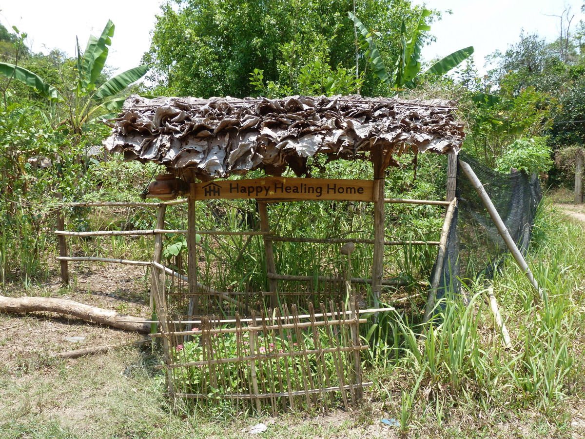 My Experience on a Self-Sustainable Farm in Thailand