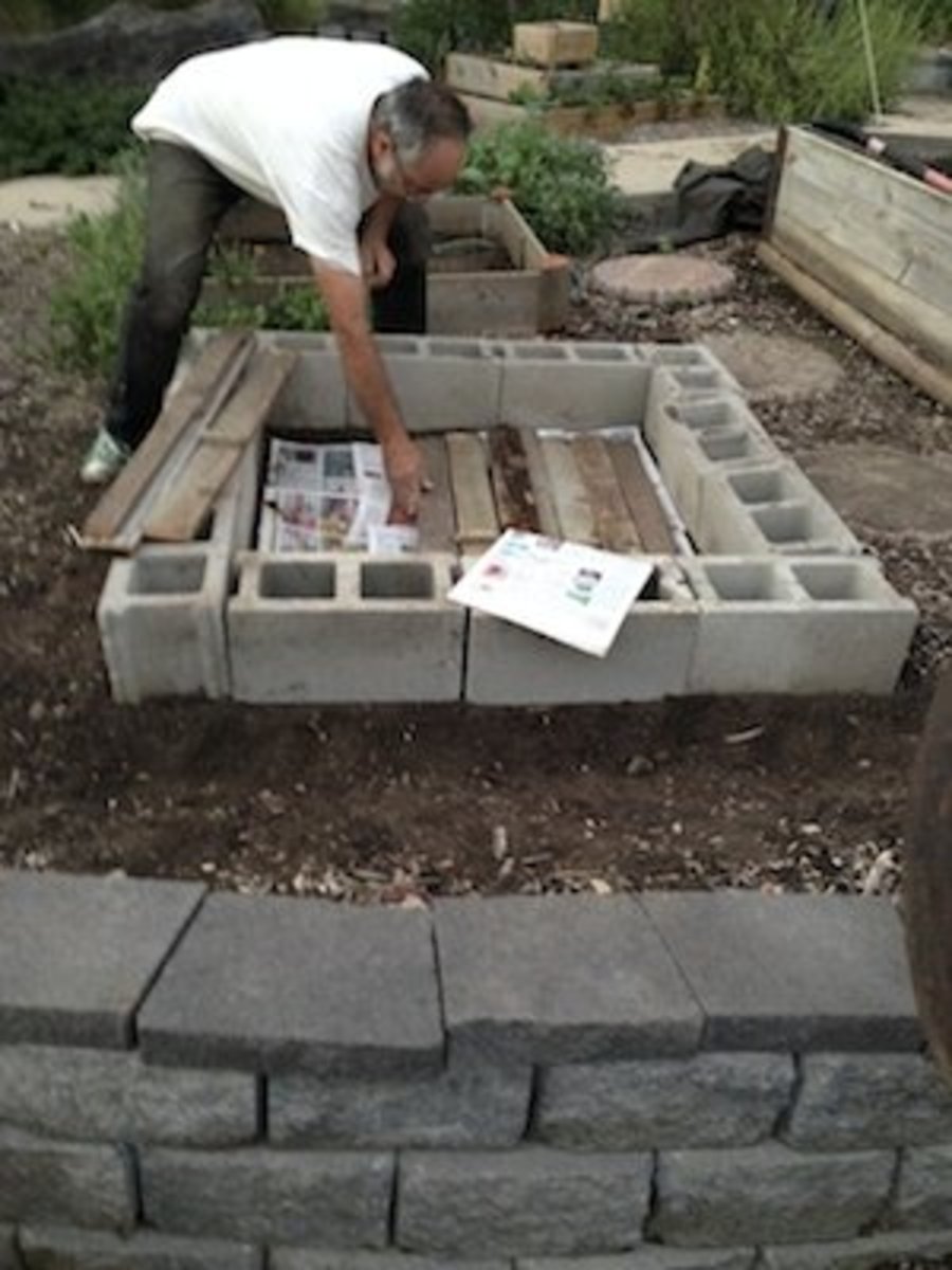 The purpose of the newspaper and cardboard is to block grass and weeds. We added the rotting lumber simply to recycle.