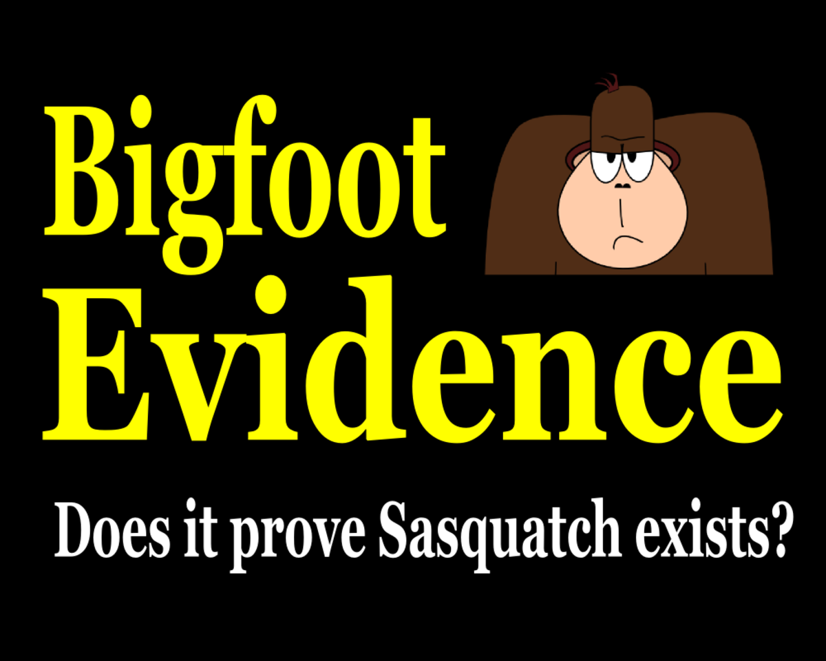 Is the available evidence enough to conclude that Bigfoot is real?