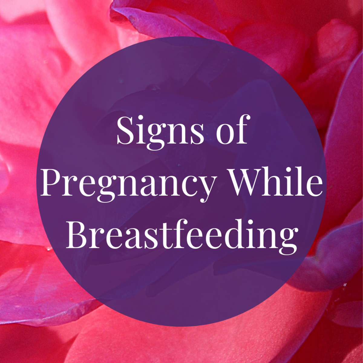 There are quite a few signs that could point to pregnancy if you are breastfeeding, but there are only three ways to positively know if you are pregnant.