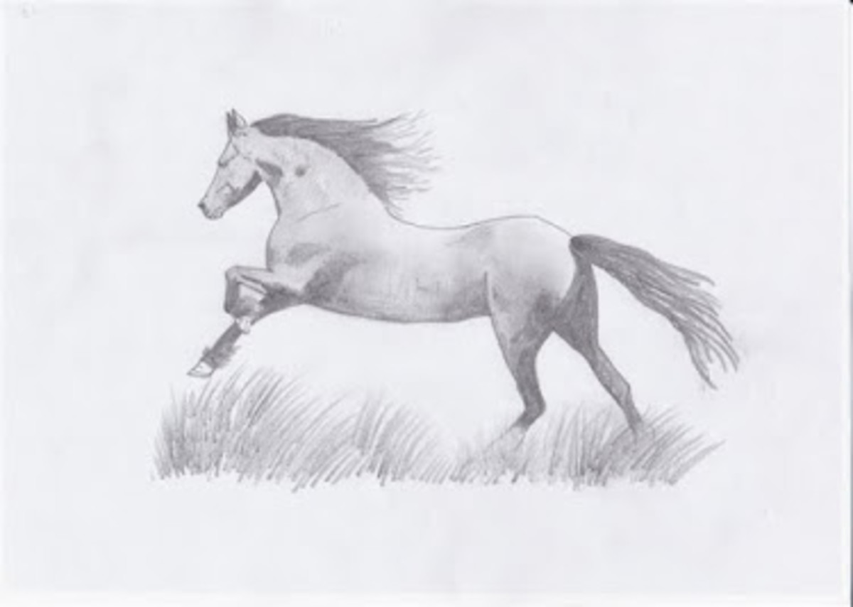 The Stallion - A Poem