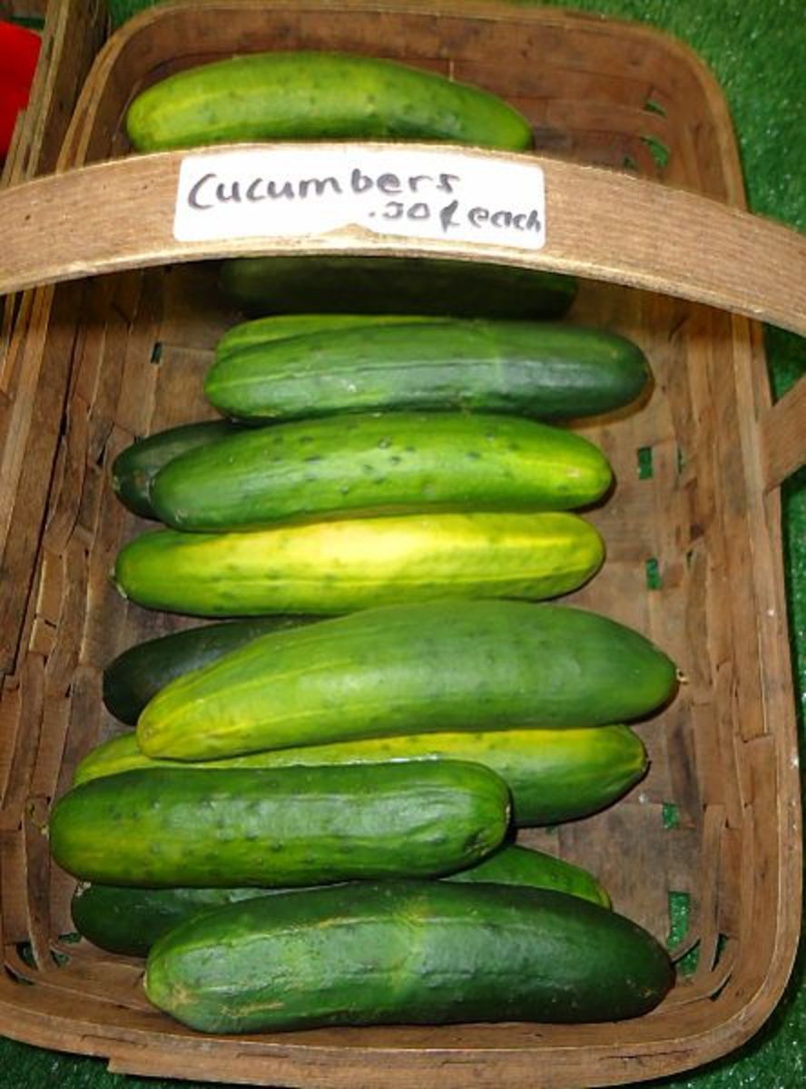 How to Grow Any Kind of Cucumber