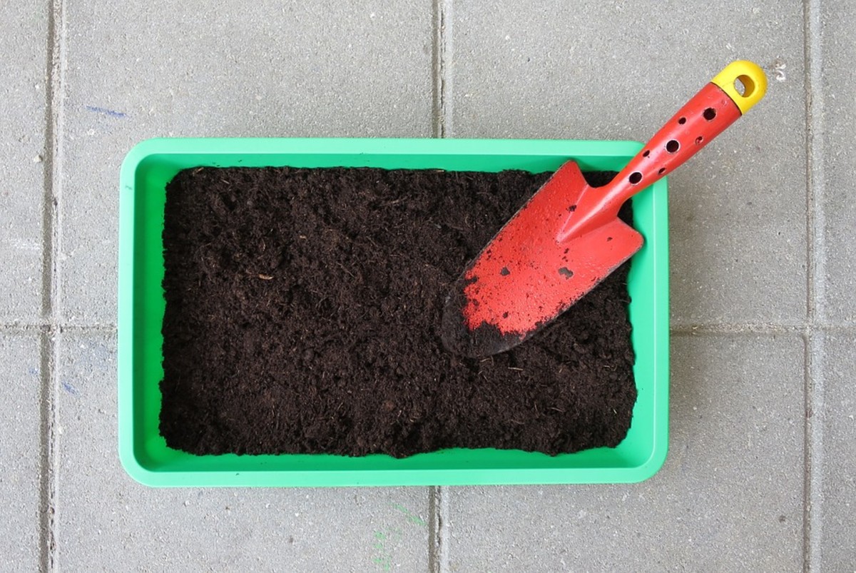 What Is a Soil Test & Why Do You Need One? Dengarden