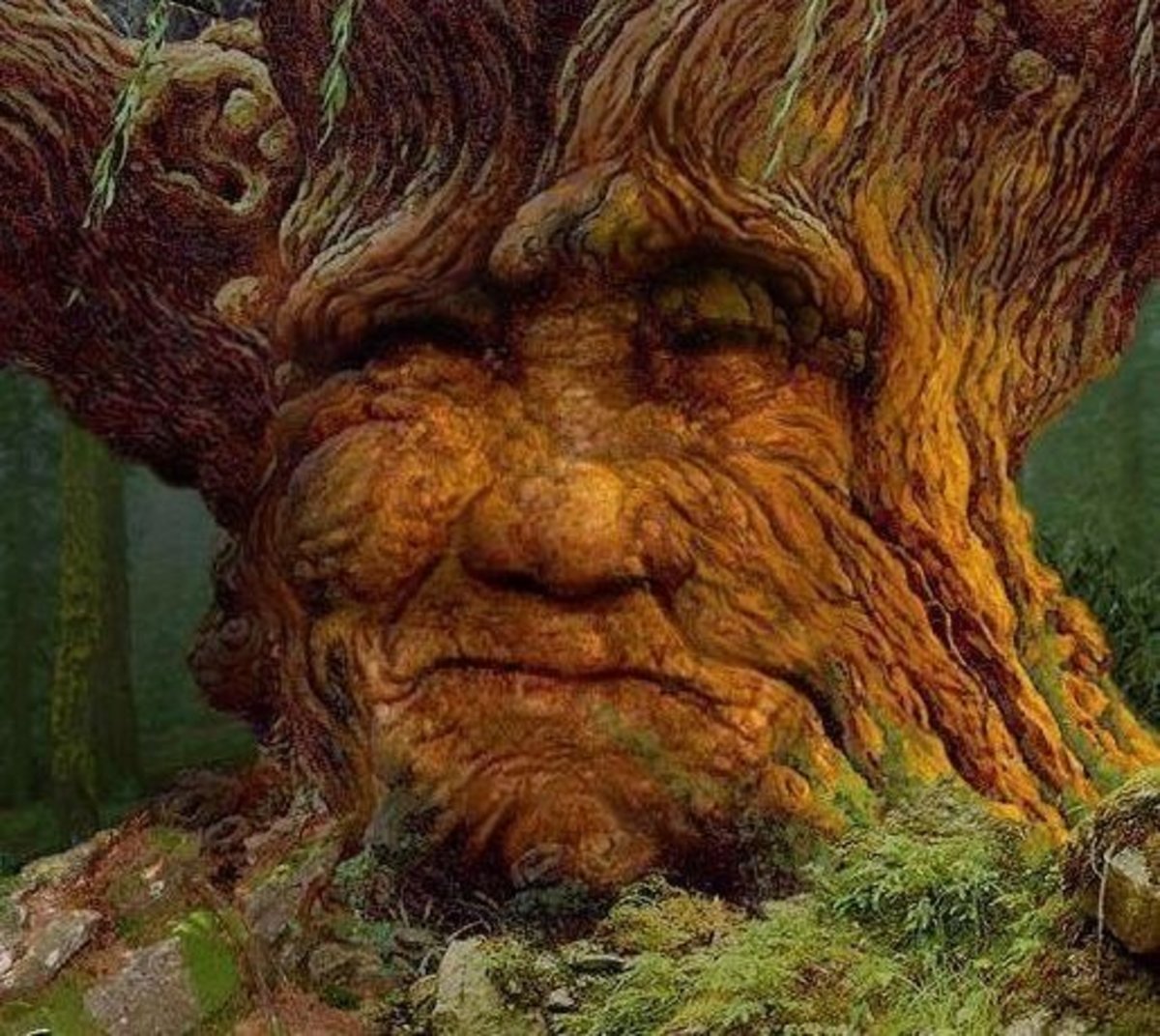 Tree face