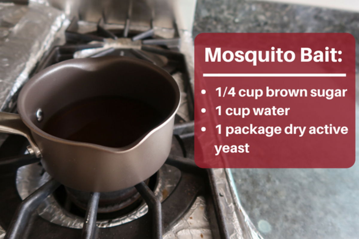 Make mosquito bait to draw the bugs into your trap.